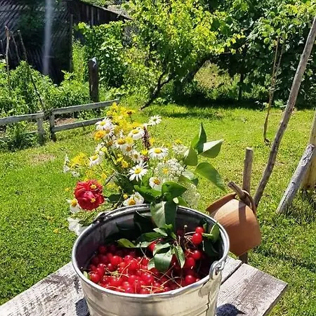 Casa Zestrea Bunicii Holiday home Runcu (Dambovita)