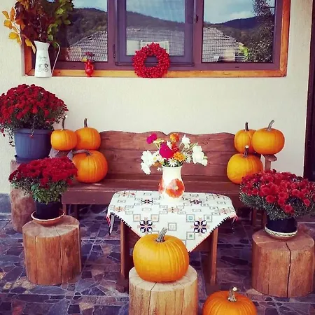 Holiday home Casa Zestrea Bunicii Runcu (Dambovita)
