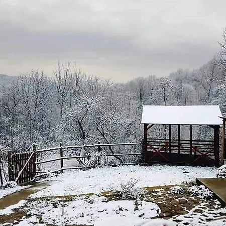 Casa Zestrea Bunicii Holiday home