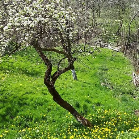 Casa Zestrea Bunicii Holiday home Runcu (Dambovita)