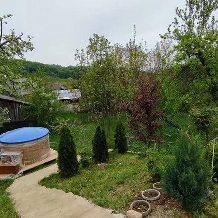Holiday home Casa Zestrea Bunicii *
