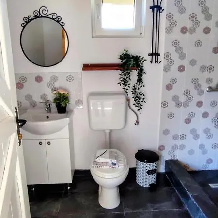 Casa Zestrea Bunicii * Runcu (Dambovita)