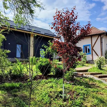Holiday home Casa Zestrea Bunicii Runcu (Dambovita)