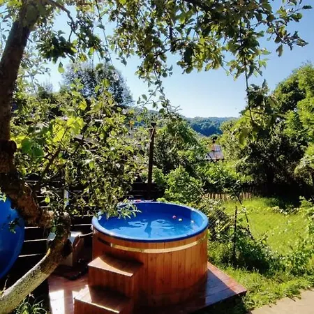 Casa Zestrea Bunicii Holiday home