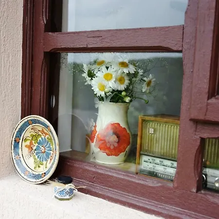 Casa Zestrea Bunicii Holiday home *