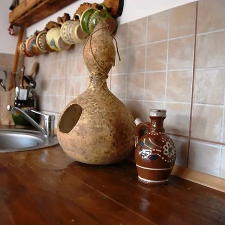 Casa Zestrea Bunicii Holiday home Runcu (Dambovita)